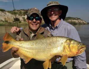 Golden dorado fishing on the Paraná River Argentina 