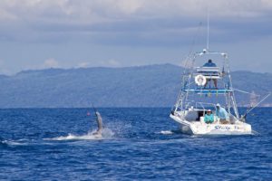 Luxury, family friendly fishing resort located in Costa Rica with fishing and activities.