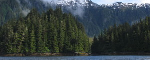 Alaska Wilderness Fishing - Sitka