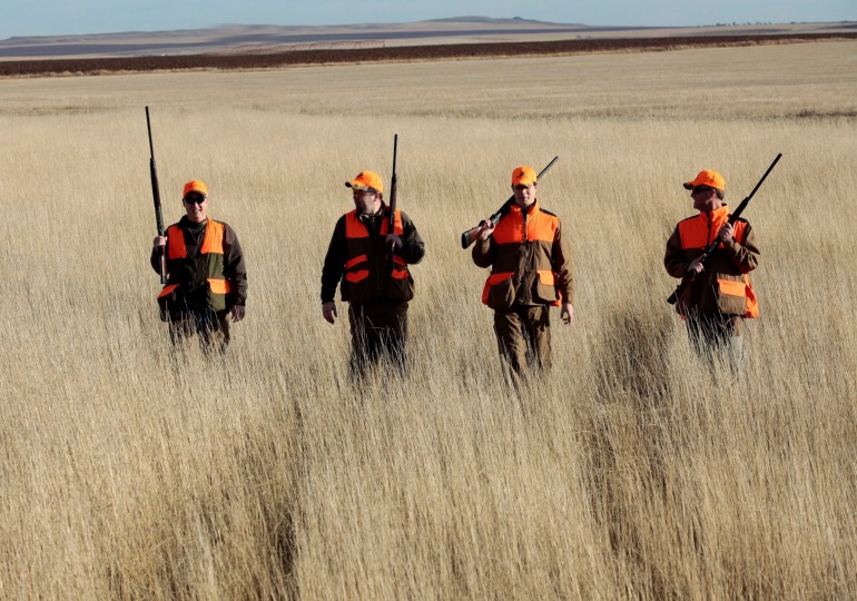 South Dakota Luxury Pheasant Hunt - Pierre