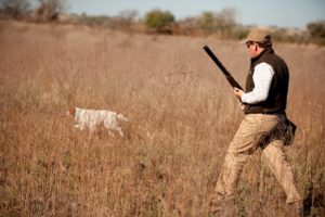 Perdiz hunting over pointing dogs on the Argentine pampa