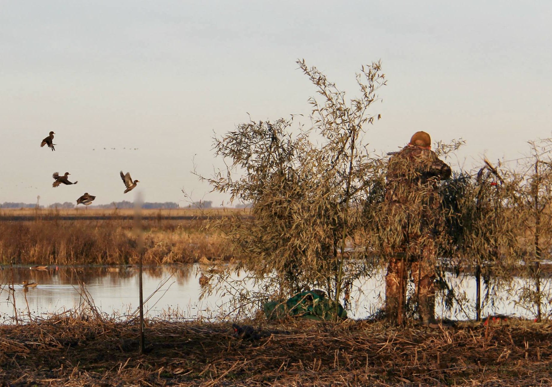 Argentina 5-Species Grand Slam Wingshooting