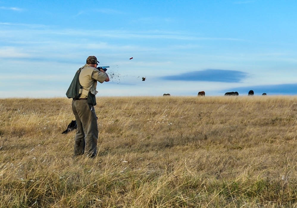 Argentina Grand Slam Wingshooting