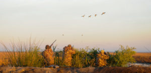 Argentina grand slam wingshooting — duck hunt morning