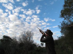 Argentina grand slam wingshooting — pigeon decoying in brush habitat