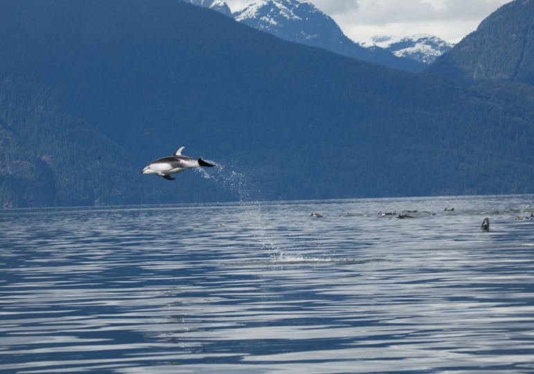 British Columbia Luxury Fishing Resort & Eco Tourism