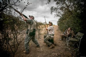 Dove hunting in Córdoba Argentina — professional bird boy and loader