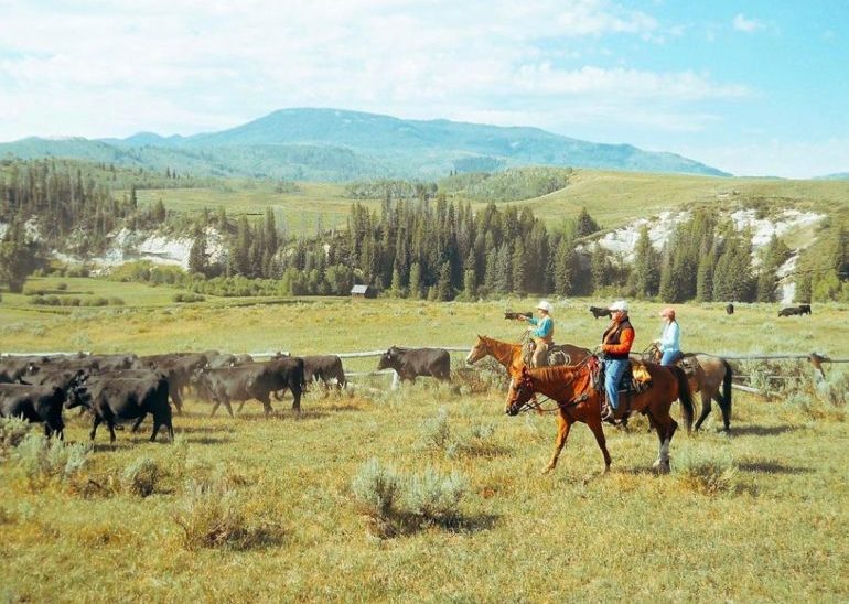 Colorado luxury fishing