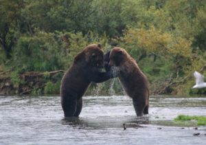 Alaska fly fishing lodge