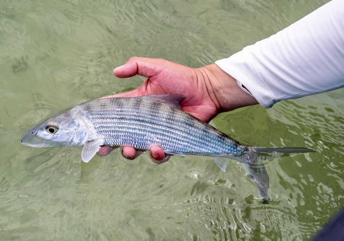Belize Fishing Resort