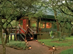 Namibia elephant hunt