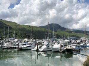 Coastal activities in New Zealand