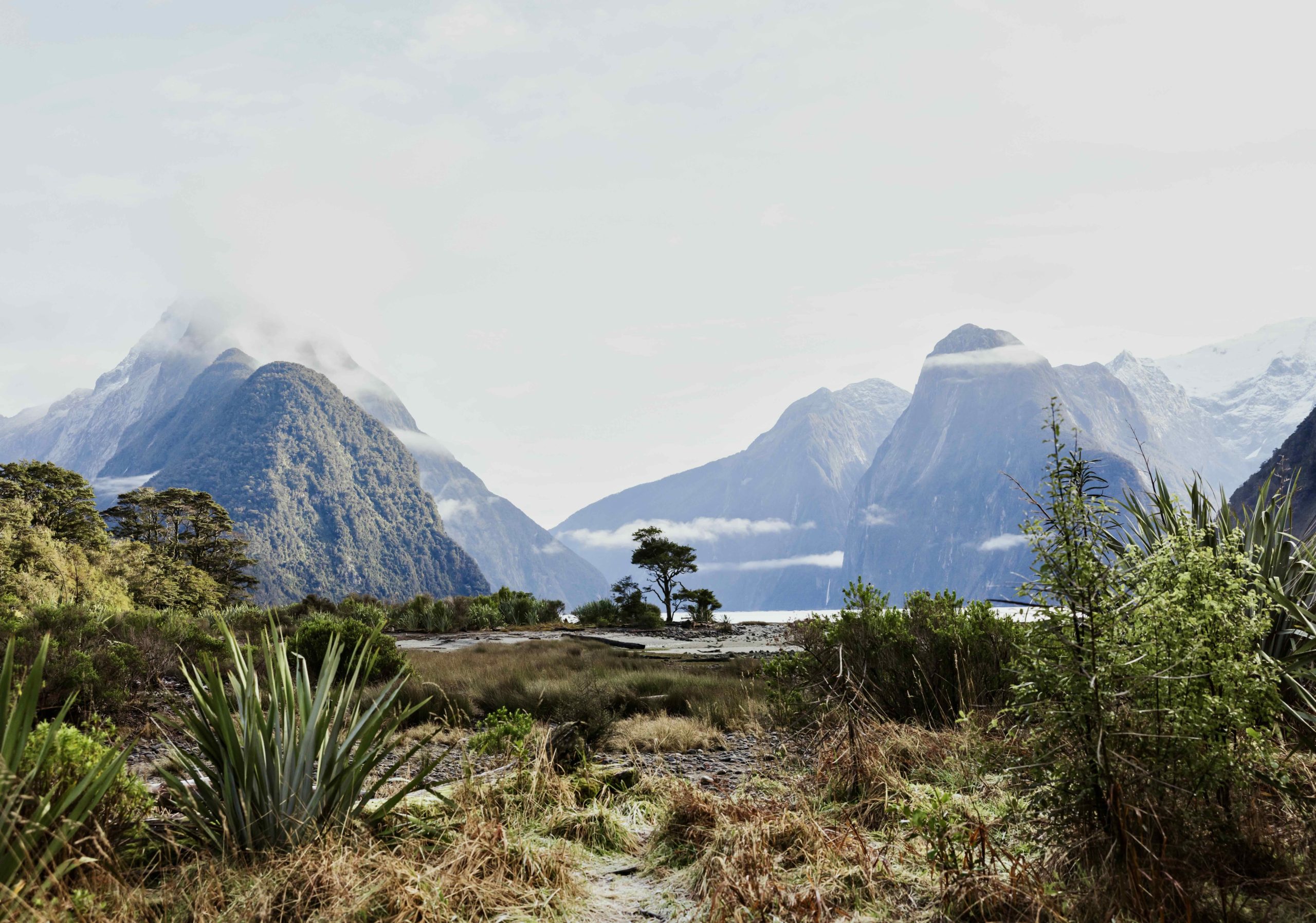 New Zealand Luxury Hunting - Queenstown