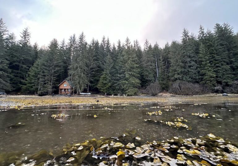 Alaska Brown Bear Hunt - Cabin