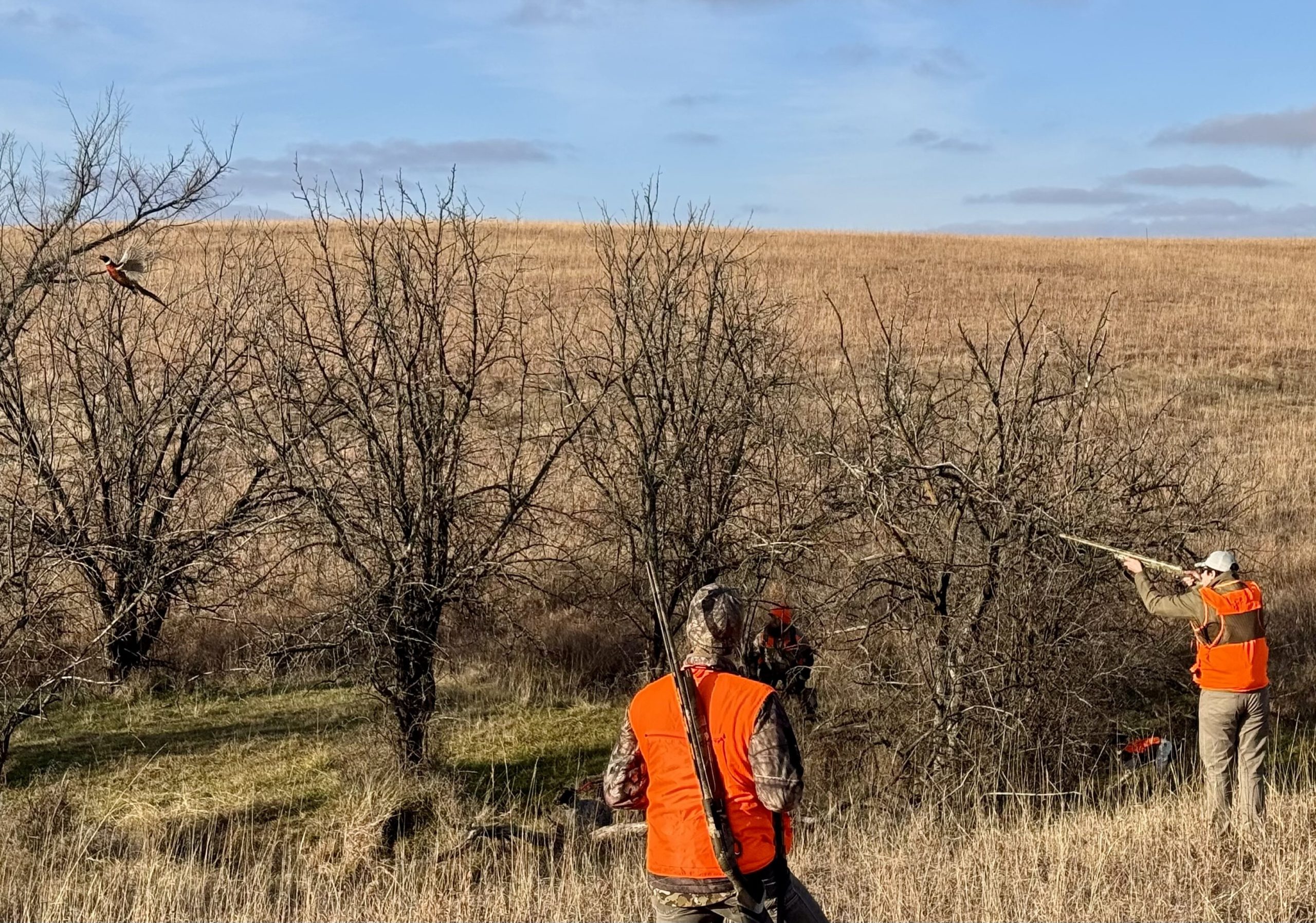 Kansas Waterfowl and Upland Hunt