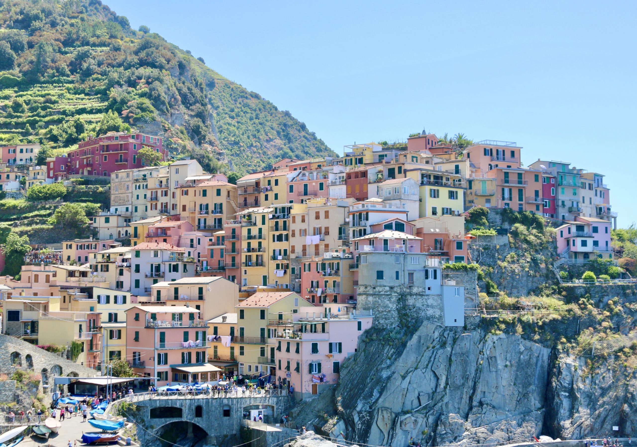 Italy Wingshooting and Touring