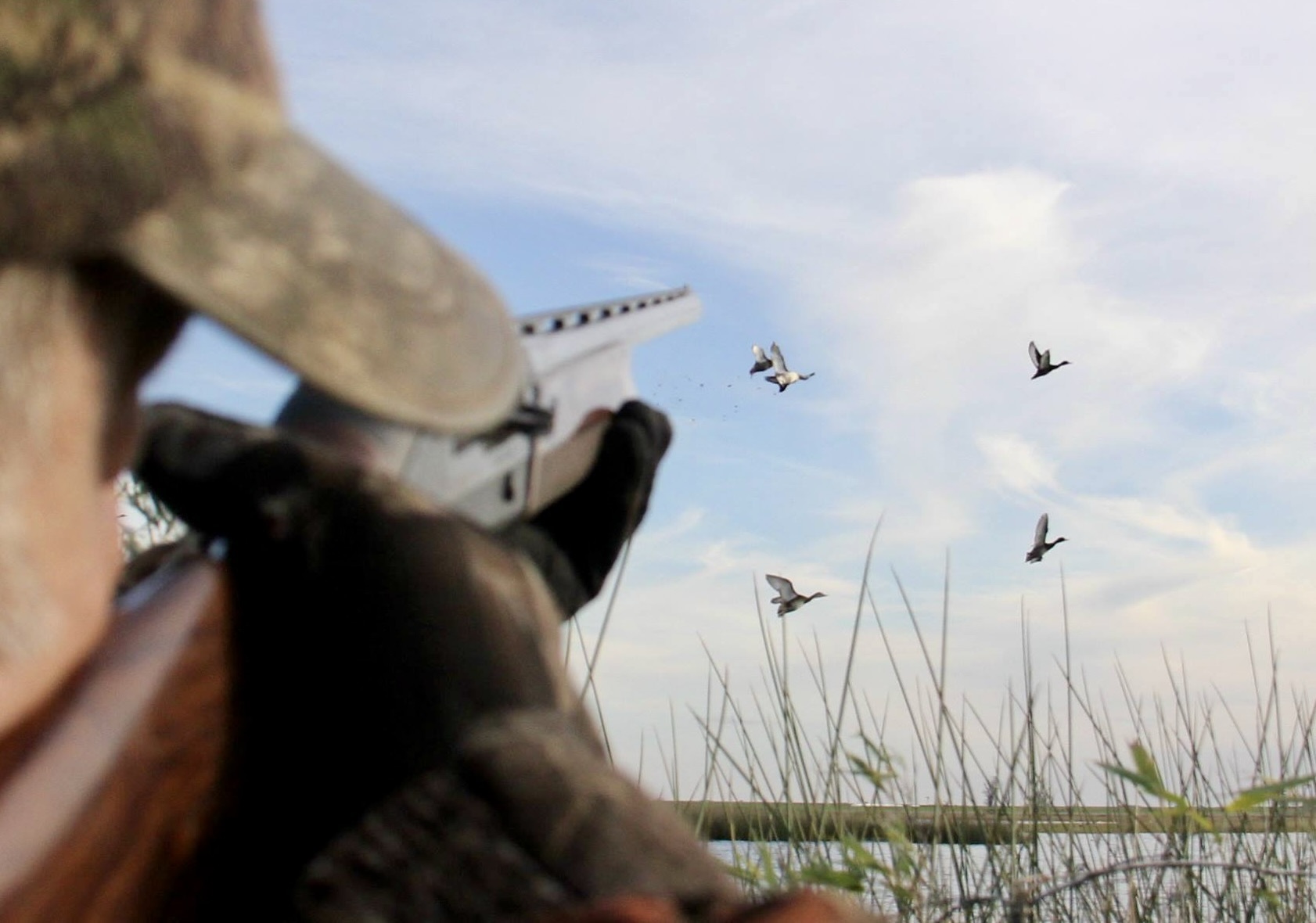 Argentina Wingshooting and Touring