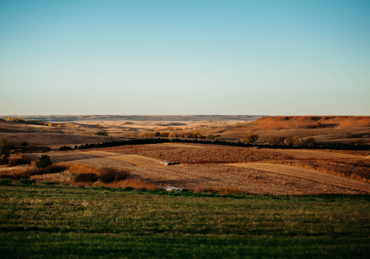 South Dakota Pheasant Hunting Lodge – Wild & Preserve Hunts
