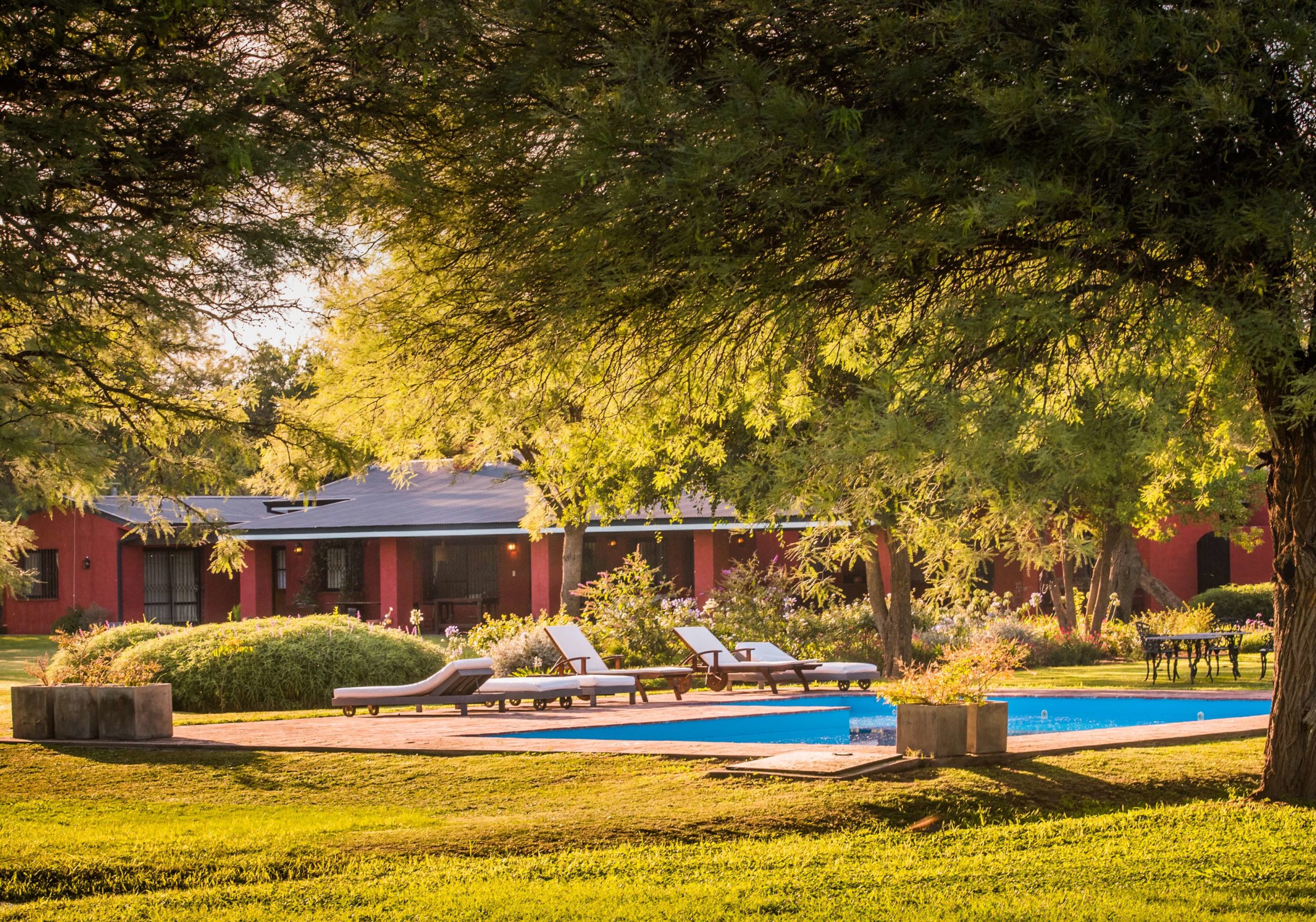 Argentina Private Dove Hunting Estancia | Exclusive for 4-8 Hunters