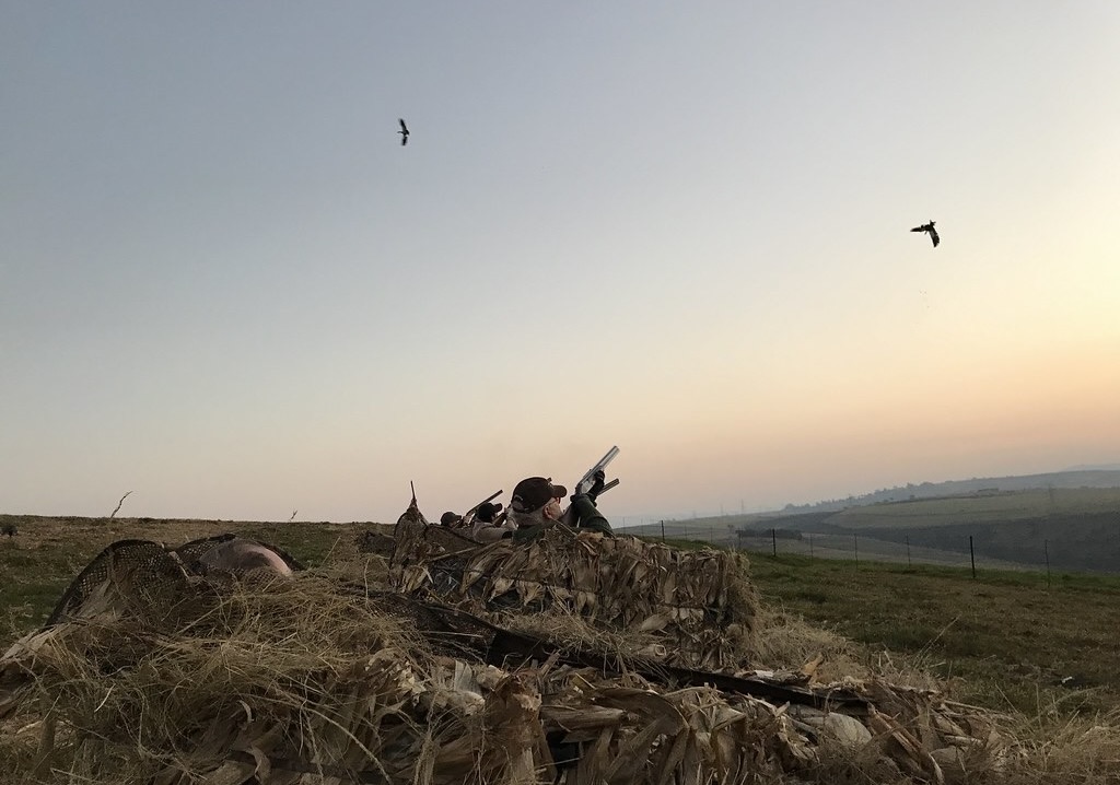 Africa Wingshooting and Touring Africa Wingshooting and Touring