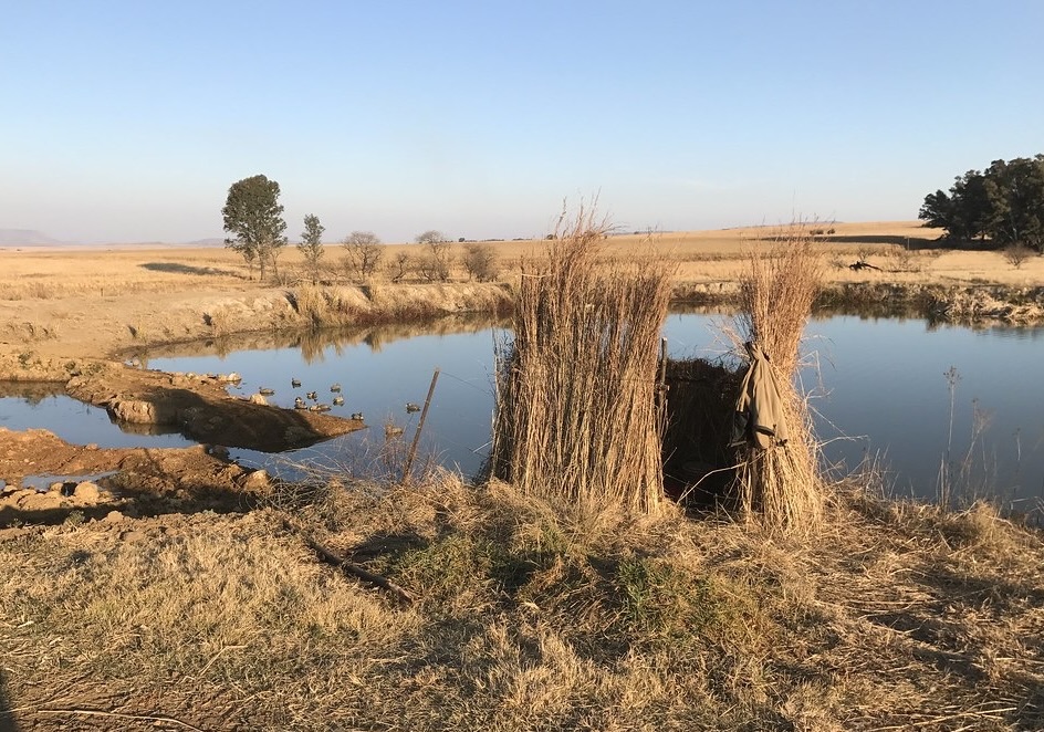 Africa Wingshooting and Touring Africa Wingshooting and Touring