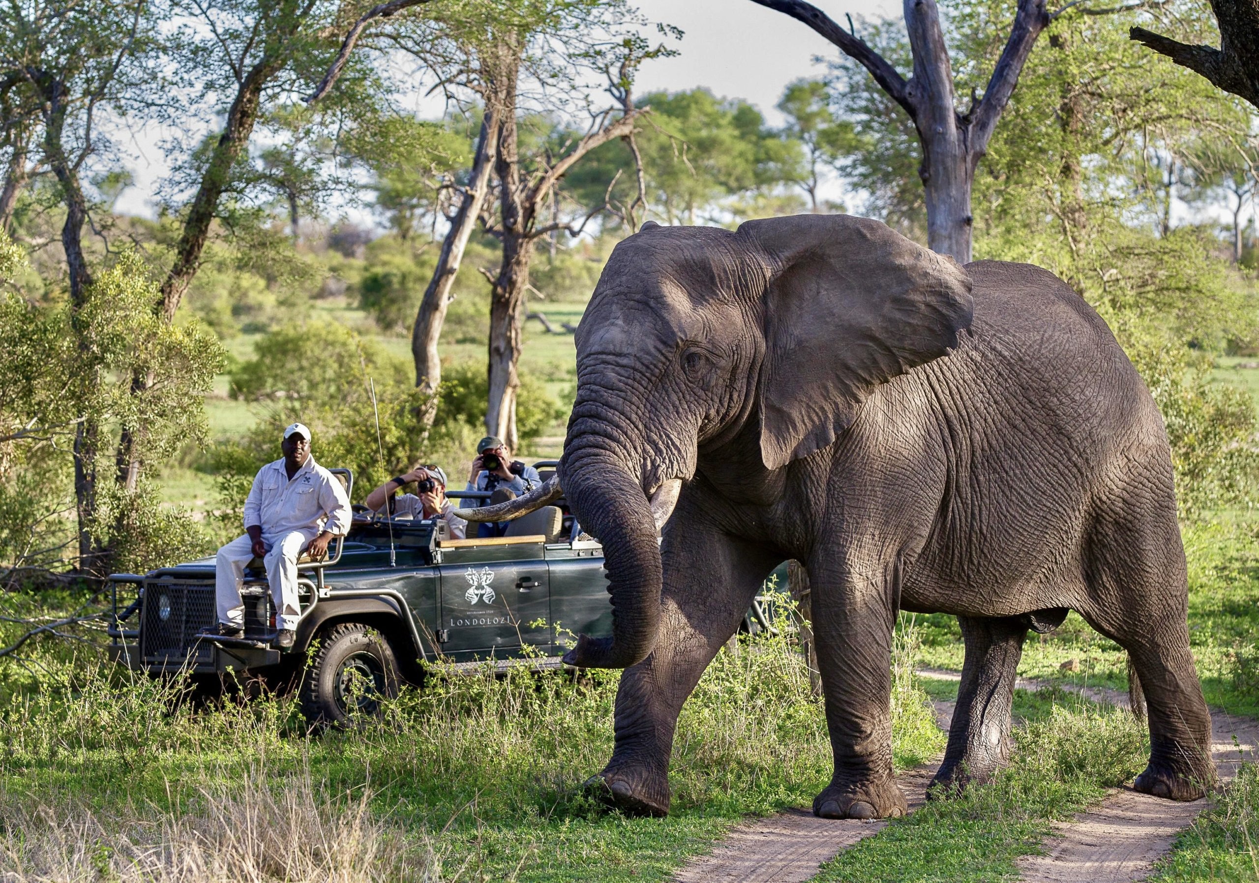 Africa Big Game Hunting and Touring