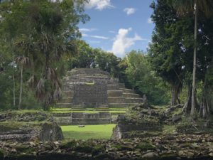 Lamanai Mayan ruins rising from the Belize jungle, ancient stone temple. Enjoy touring and incredible Belize fly fishing 