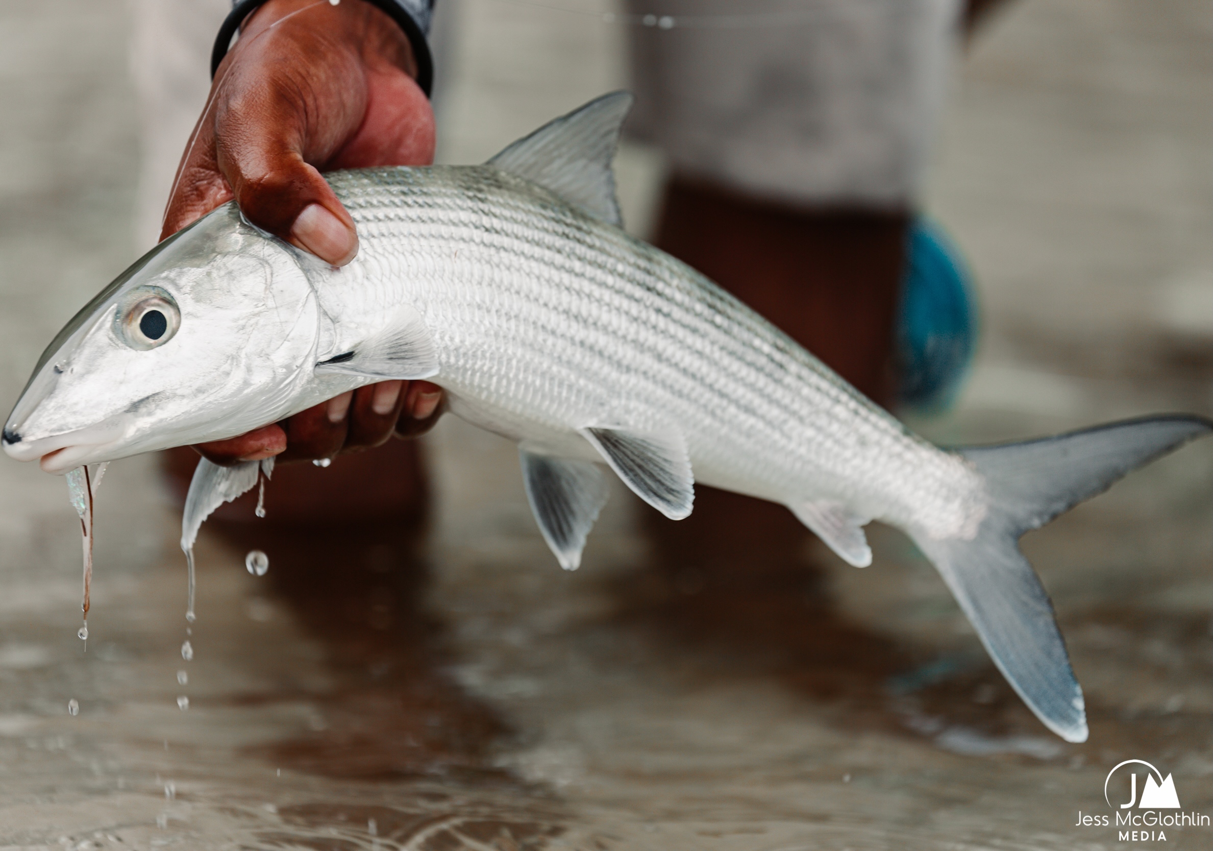 Belize Fishing & Touring | Grand Slam Flats, Barrier Reef & Mayan Ruins