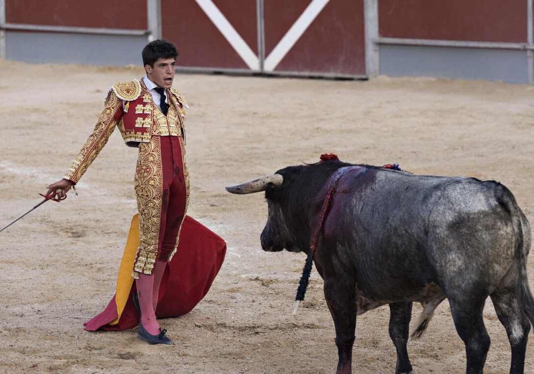 Spain Wingshooting and Touring