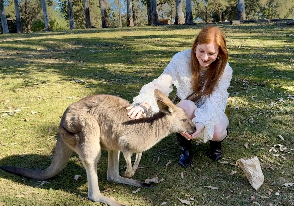 Australia Big Game Hunting and Touring