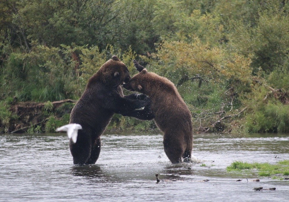 Alaska Fishing and Touring Alaska Fishing and Touring