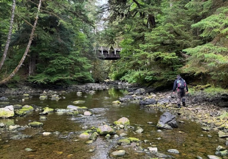 Alaska Adventure Lodge — Fishing, Bears, Whales & Glaciers on Prince of Wales Alaska Adventure Lodge — Fishing, Bears, Whales & Glaciers on Prince of Wales