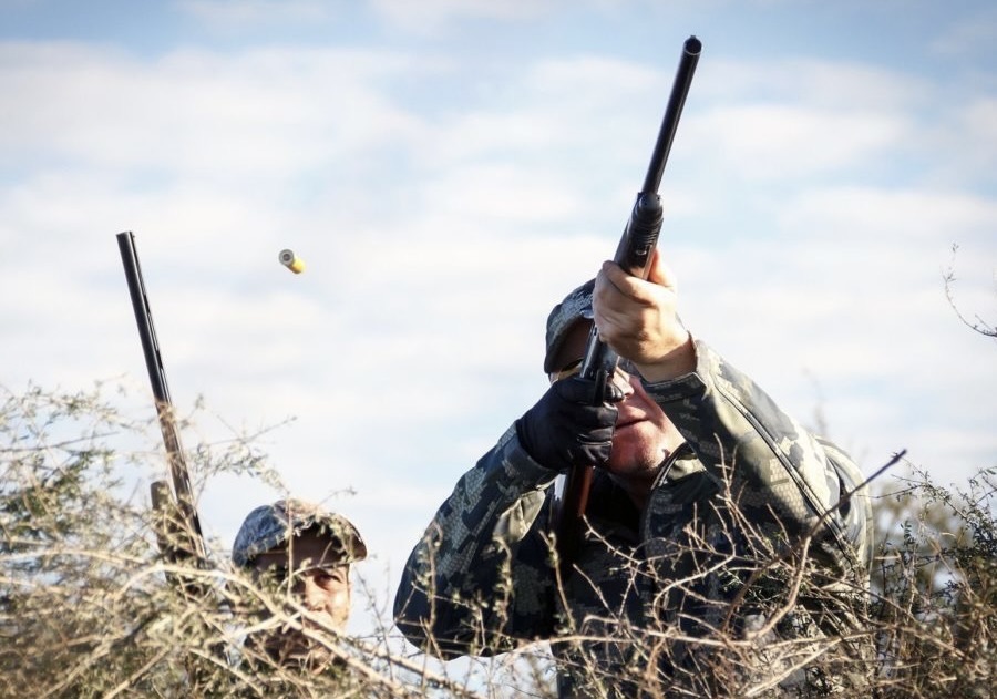Argentina Dove & Pigeon Hunting Lodge -San Luis