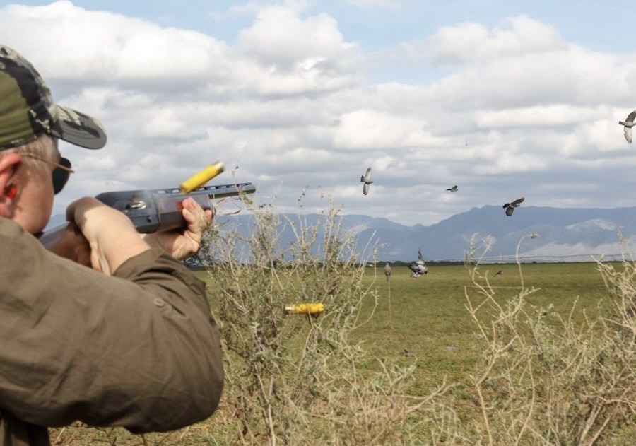 Argentina Dove & Pigeon Hunting Lodge -San Luis